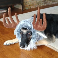 Onmygogo Moose Hat Costume for Dogs Cute Furry Pet Wig Size L Gray