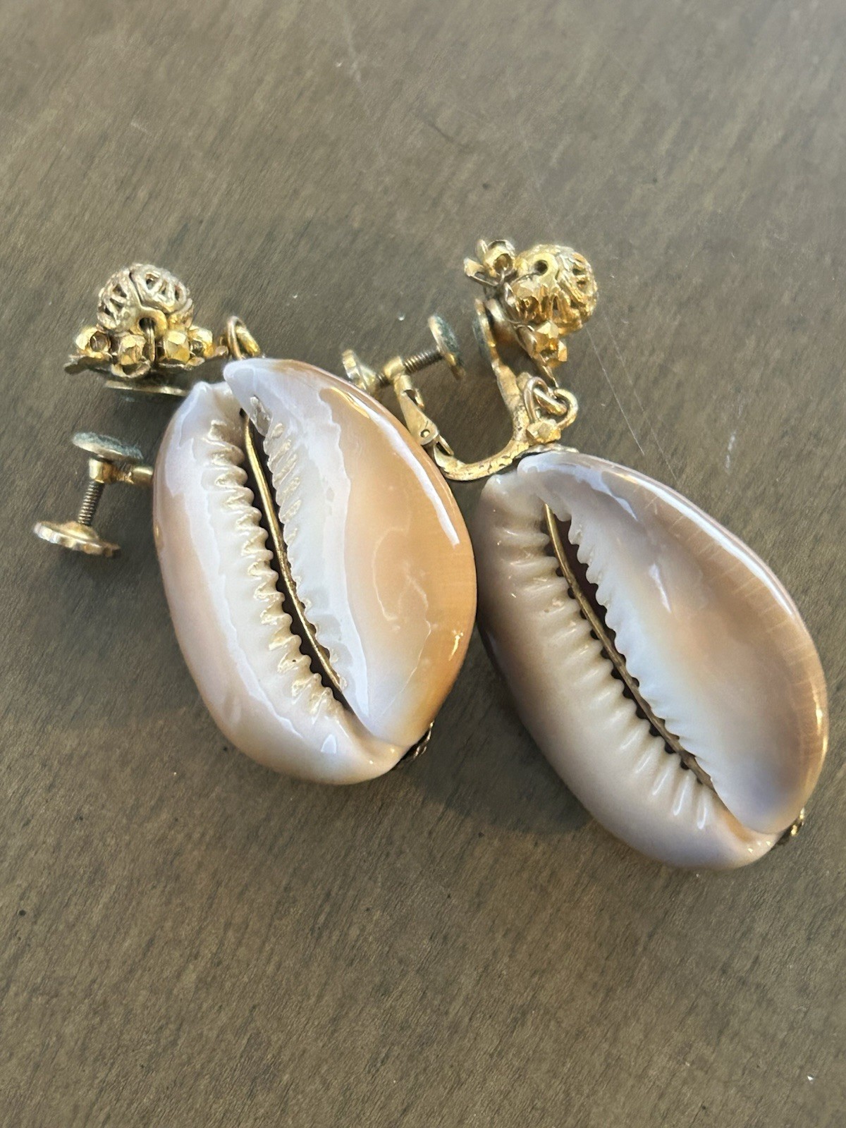 Miriam Haskell Earrings Screwback Shell Cowrie Se… - image 3