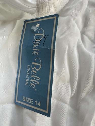 VTG Dixie Belle Sheer Nylon High Waist Panties White Sculpted Feature 3 In Lot - Picture 8 of 11