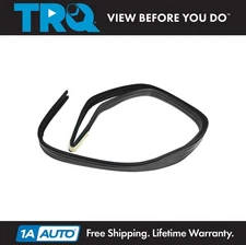 TRQ Front Window Glass Run Channel Fits Chevrolet GMC