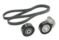 INA 529001810 Keilrippenriemensatz Mit Rollen FüR Citroen Xsara Picasso 206