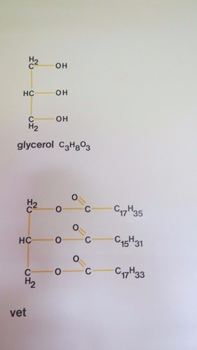 TABLA DE BIOQUÍMICA DE LA ESTRUCTURA DE LAS GRASAS ROLL DOWN DE LA ESCUELA DE MEDICINA DE COLECCIÓN - Imagen 5 de 12