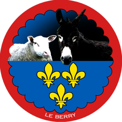 Autocollant Sticker Logo Mouton Réf. 342 - Pour Customisation, Marque Zundapp, Neuf