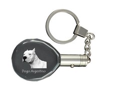 Argentinian Dog, Dogo Argentino - Pendant With A Photo Of A Dog, Schl