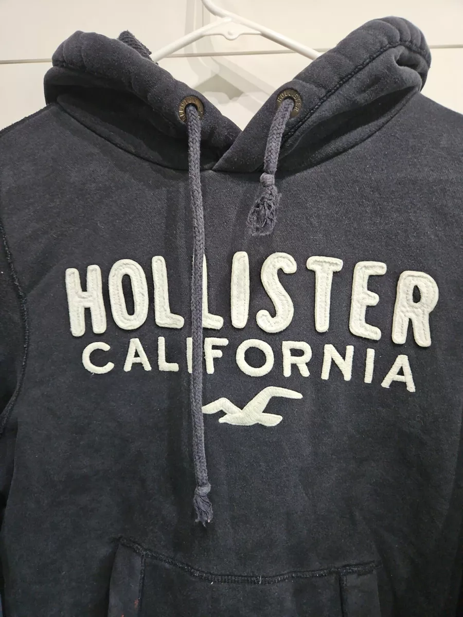 Felpa hollister uomo cheap
