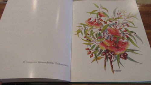 DAISY WOOD, In Harmony with Nature SIGNED by artist HbDj HERE in MELB - Foto 12 di 24