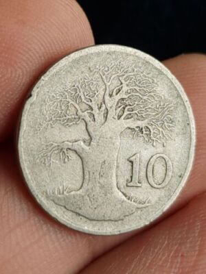 小物 TEN COIN SHEEP BLACK $_57.JPG?set_id=8800005007