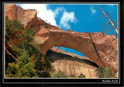 Ansichtskarte>>Nationalpark Zion, Kolobbogen