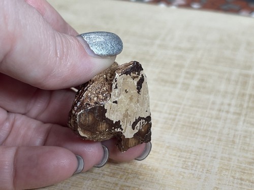 Miniature Vintage Resin Owl - Picture 5 of 7
