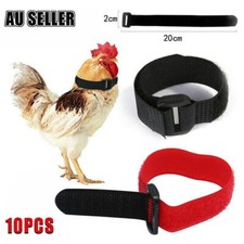 10PCS Anti Crow Collar for Roosters Cockerel No Crow Noise Neck Belt Nylon AU