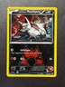 2015 Pokemon TCG XY Double Crisis -Team Magma's Poochyena- Common 17/34