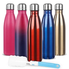 Sfee Insulated Water Bottle, 17oz Stainless Steel 17 Ounces, Red 