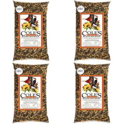 Cole's BH20 Blazing Hot Blend Bird Seed, 20-Pound, 4 Pack
