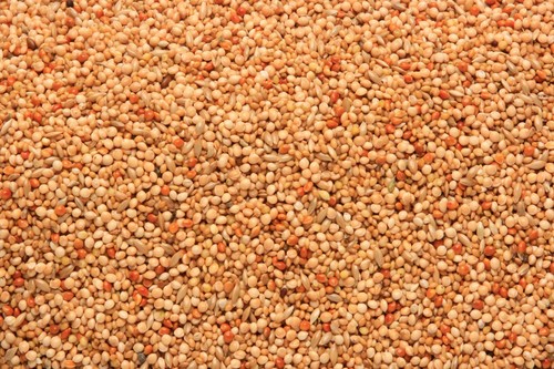 SkyGold Popular Foreign Finch 20kg Cage & Aviary Bird Seed - Picture 2 of 6