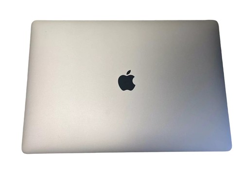 Conjunto de pantalla LCD plateado + gris espacial OEM Macbook Pro 16" A2141 2019 2020 - Imagen 3 de 8