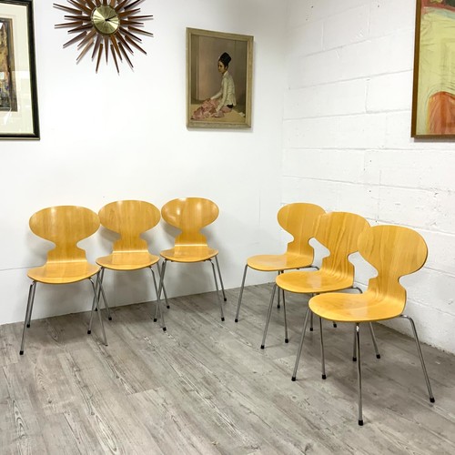 6 x Vintage Arne Jacobsen Fritz Hansen Ant Chairs 3101 - Picture 4 of 18