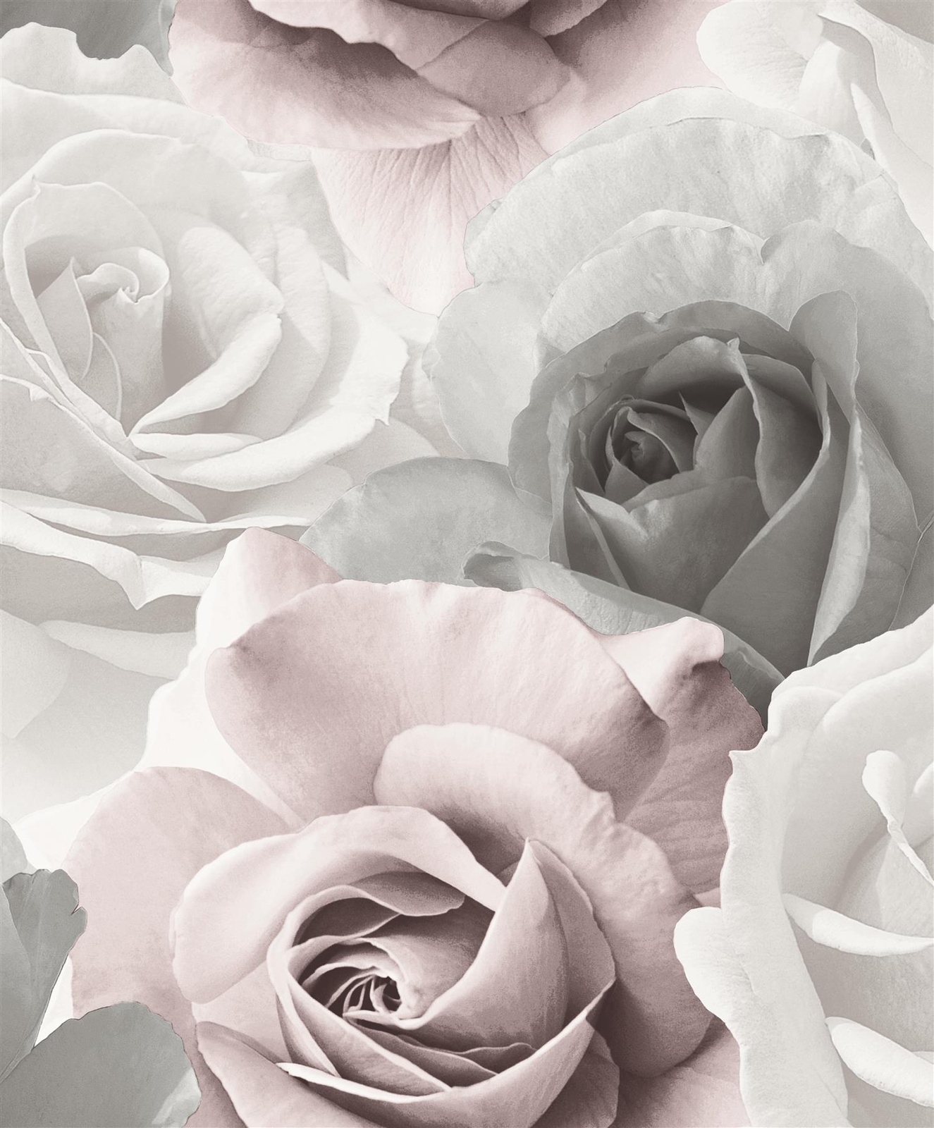 Muriva Rhoda Rose Pink Wallpaper 203501 - Image 2
