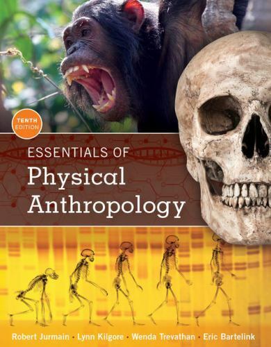 MindTap Course List Ser.: Essentials of Physical Anthropology by Lynn... - Picture 1 of 1