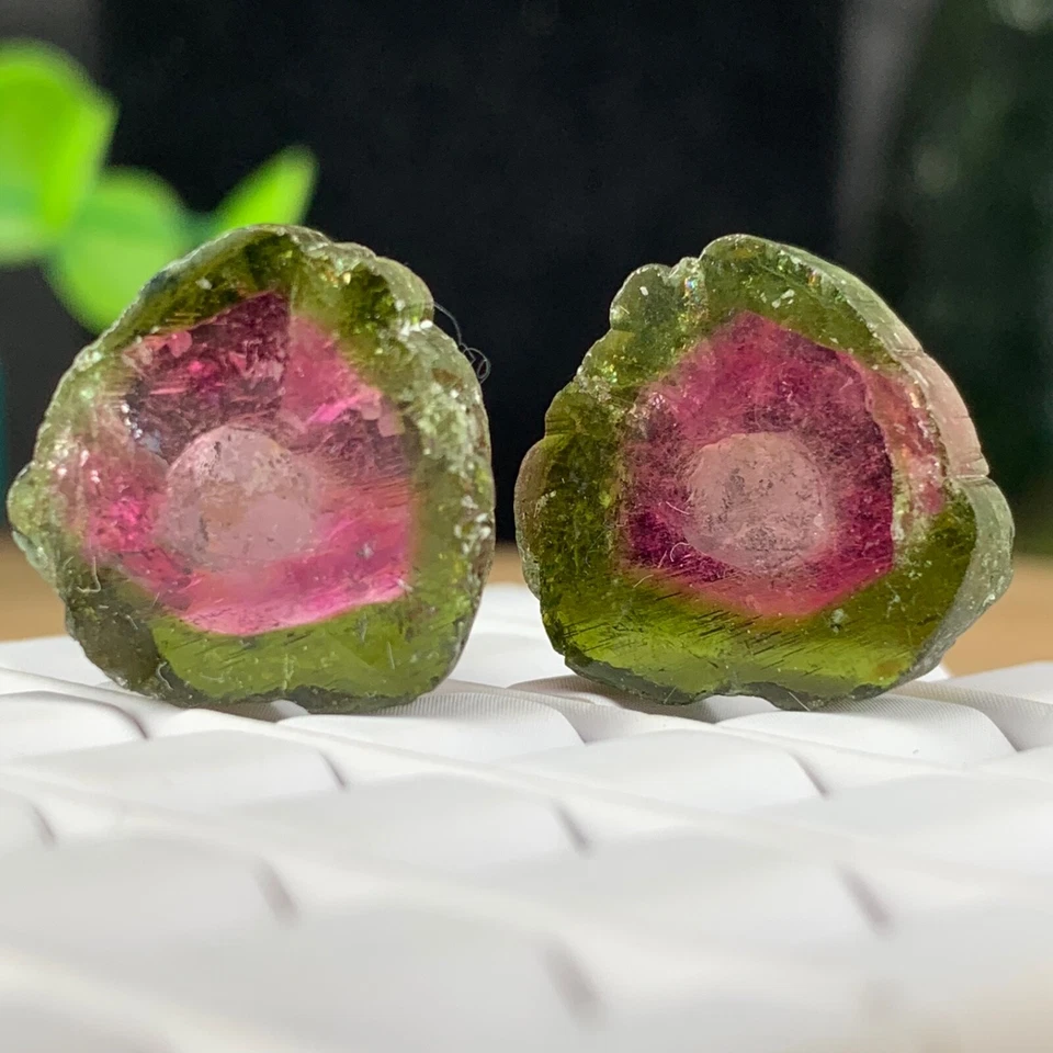 Bicolour Tourmaline Slice Pair 27.89 Ct, Flawless Earring Setting Natural Gems - Image 2 of 4