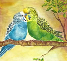 Aquarell Wellensittiche ✿ Papageien Vögel Bild Gemälde Watercolor Budgerigars