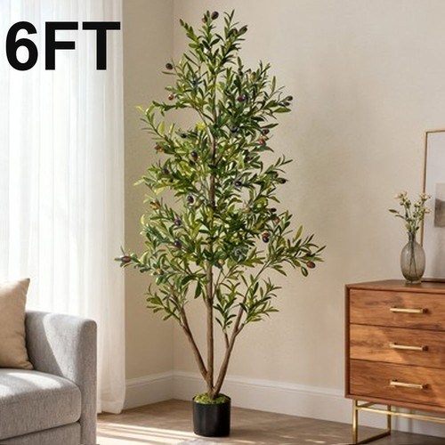 NOVAROOT 6FT Tall Faux Olive Artificial Plants Indoor Faux Natural Wood Trunk - Picture 1 of 11