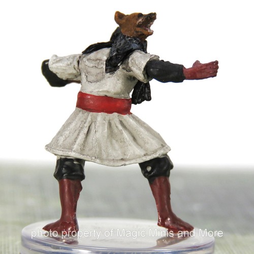 The Mwangi Expanse ~ KISHI #7 Pathfinder Battles miniature - Picture 2 of 3