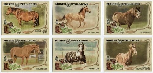 Juego completo de 15 cartas 2019 Topps Allen and Ginter Mares and Stallions - Imagen 2 de 2