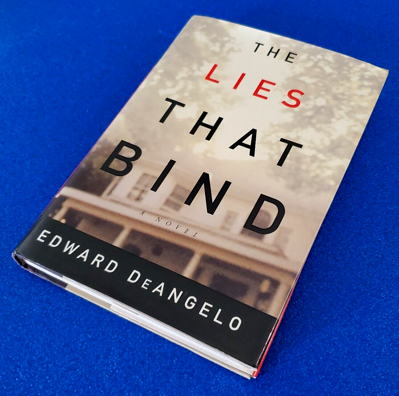THE LIES THAT BIND: A NOVEL HARDCOVER FICTION STORY FREE SHIPPING BOOK