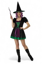 Brand New Black Shimmer Witch Adult Costume