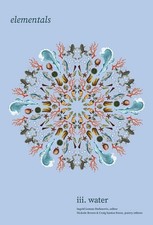 Elementals: Water, Vol. 3 by Ingrid Leman Stefanovic Paperback Book