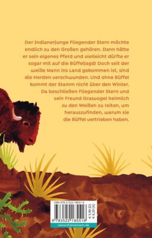 Thumbnail - Fliegender Stern Ursula Wölfel