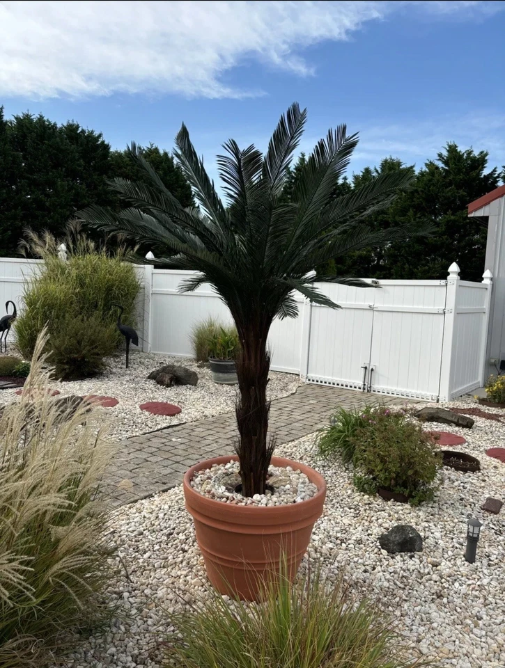 5’ Cycas Artificial Palm Tree Home Decor UV (Indoor/Outdoor). Retail $267 - Image 3 of 4