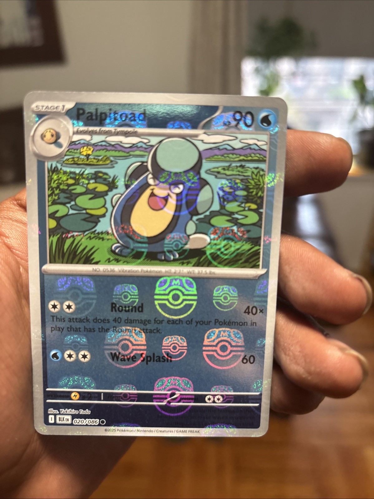 Palpitoad [C] 023/086 SV11B [Master Ball Reverse Holo] Black Bolt Pokemon JP NM