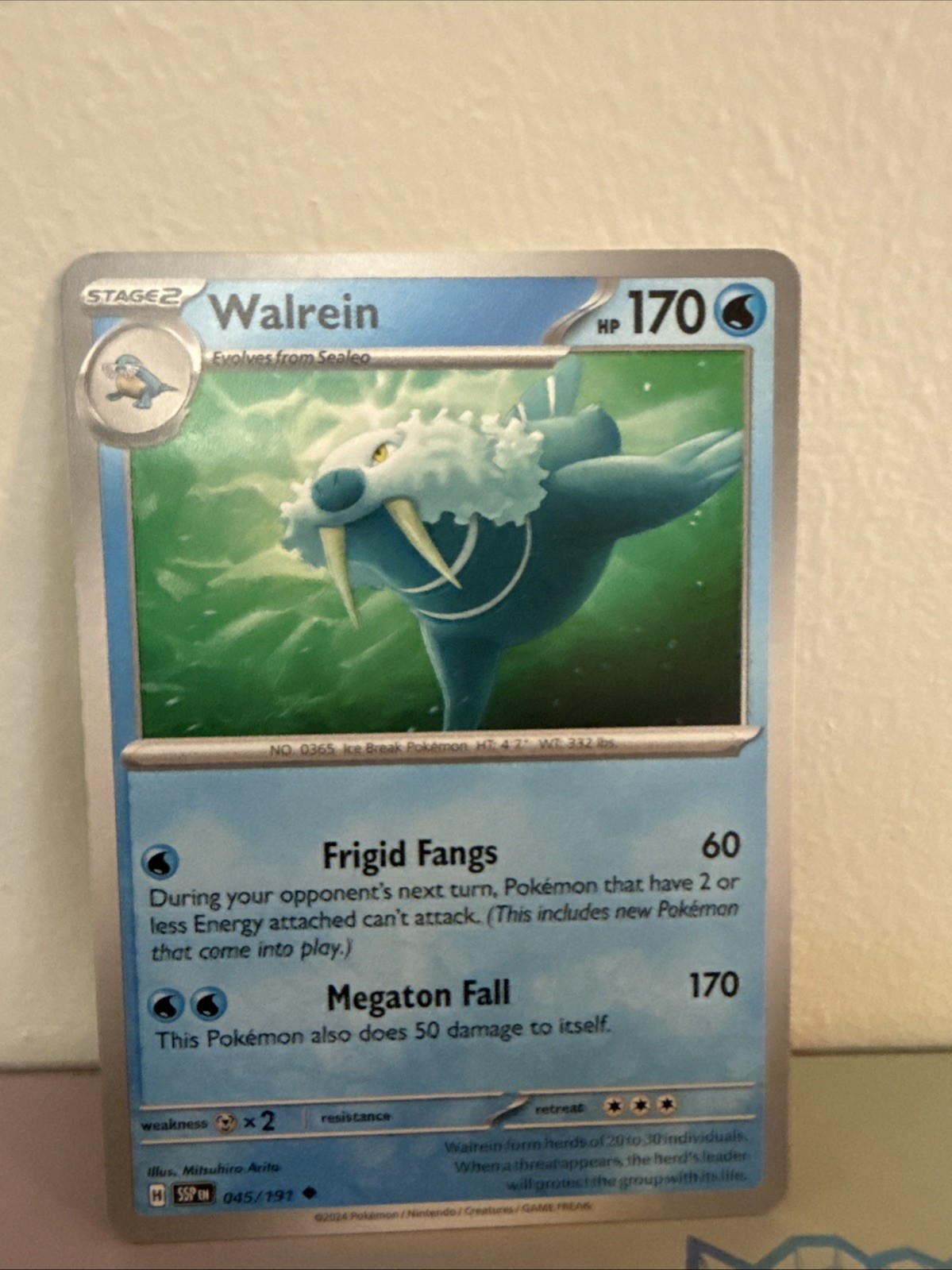 Walrein - 045/191   - Surging Sparks - Pokemon - NM/M
