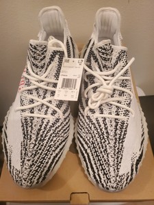 yeezy zebra size 14