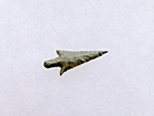 OREGON--RABBIT ISLAND DART-- GEM POINT--JACKSON -G-9+ GRADE--X RAY FRANKS