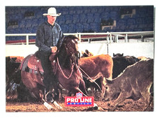 JAY NOVACEK Cowboys 1993 Pro Line Profiles 7 of 9 MINI SET HORSES Card #574