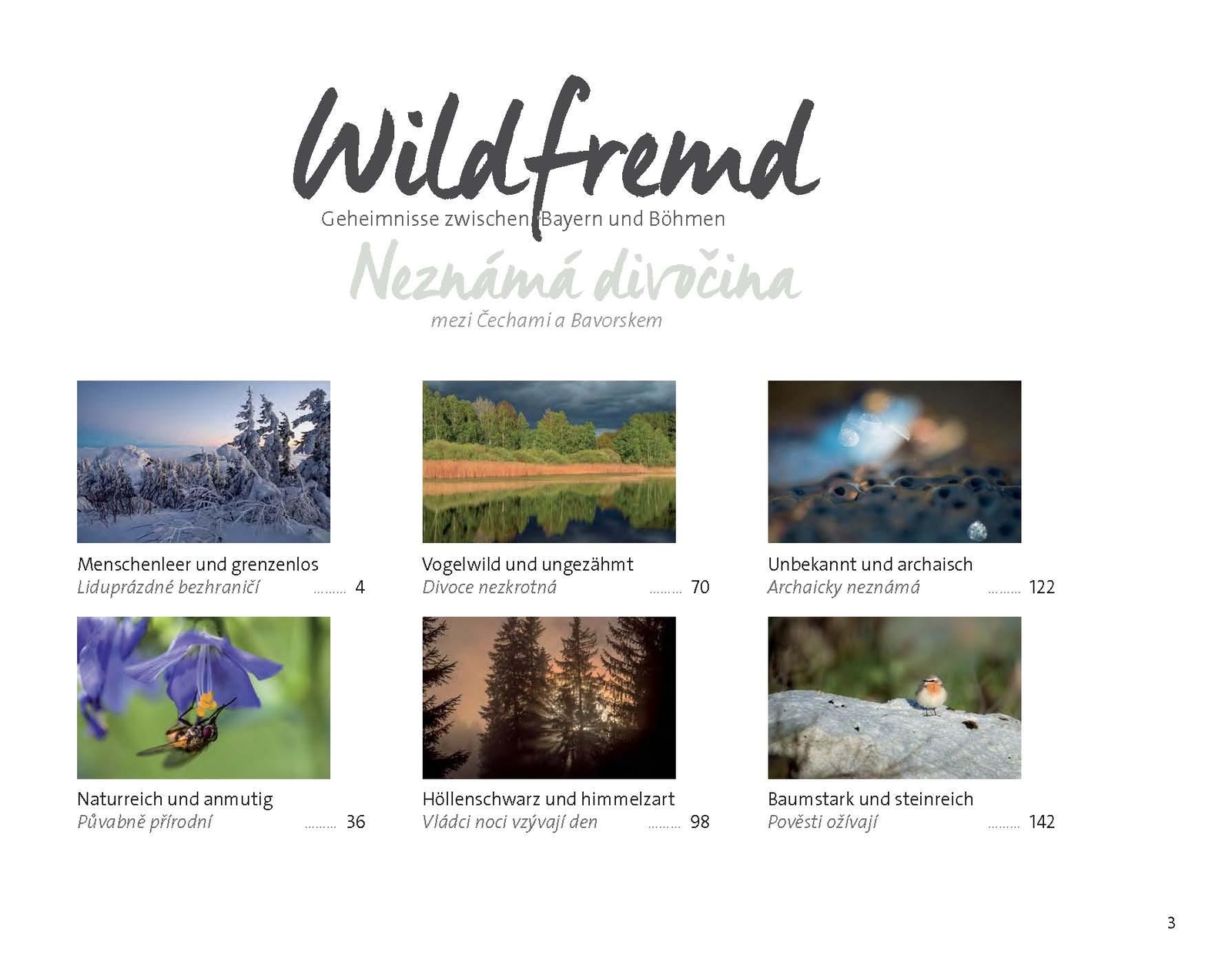 Thumbnail - Wildfremd Berndt Fischer