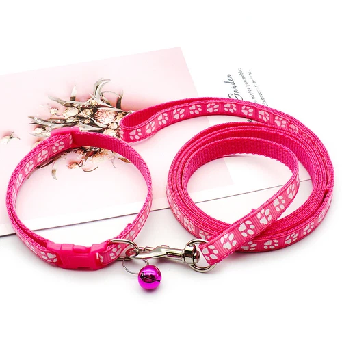 Kleines Hundehalsband und Leine Set verstellbar Welpenleine und Halsband Set Nylonriemen - Bild 30 von 36
