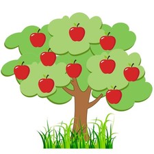 Classroom Tree Bulletin Board Set Spring Church Tree Bulletin Board Cutouts C...