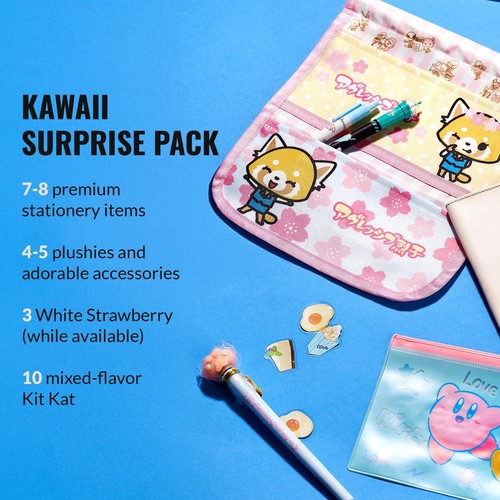 Kawaii Gift Pack - 20+ Piece Japanese Mystery Box for Girls & Boys, Surprise ... - Picture 2 of 9