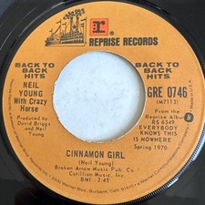 レッチリ Lサイズ ニールヤング Neil Young 45 RPM Speed Vinyl