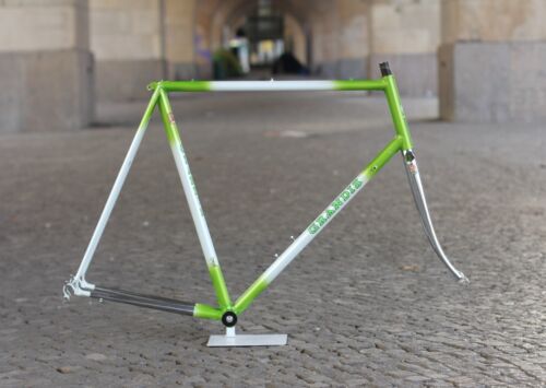 Grandis Columbus SPX Frame / 61,5 cm / green white /  Campagnolo - Picture 1 of 23