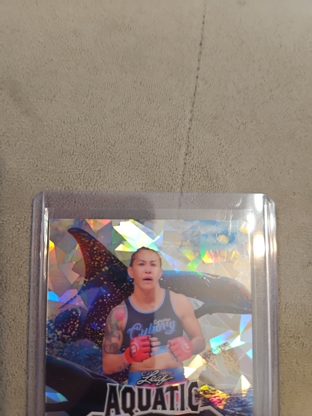 Picture 12 of 24