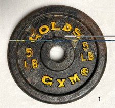 Lot De 2 Plaques De Poids Gold's Gym 10 Lb (20 Lb Total) - Fonte Standard - Occasion