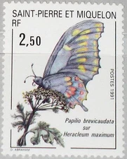 ST. PIERRE MIQUELON SPM 1991 608 554 Butterfly Butterfly Insect Fauna MNH