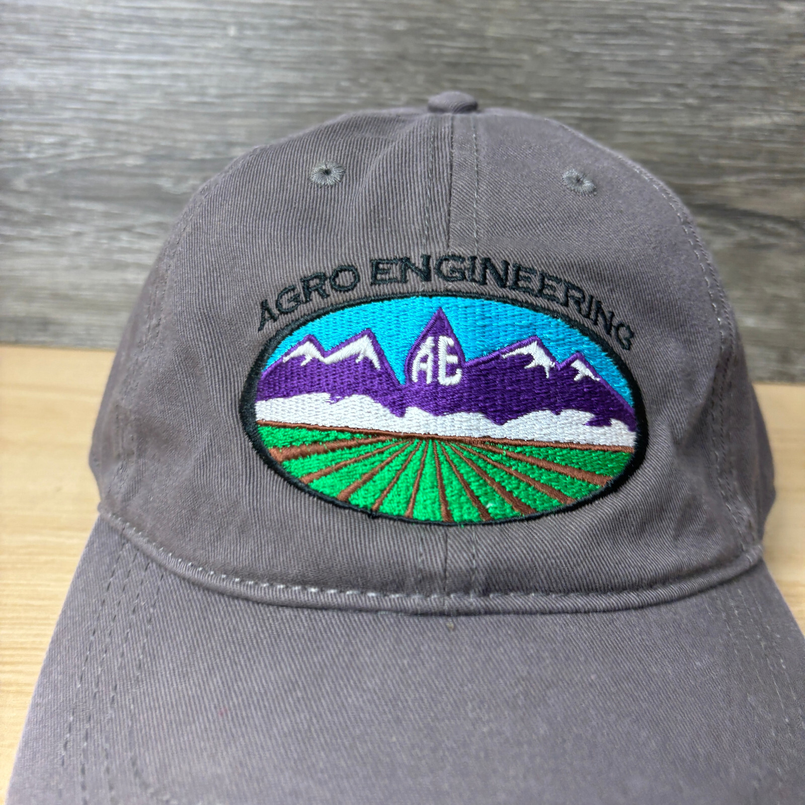 Agro Engineering Hat Cap Strap Back Gray One Size… - image 3