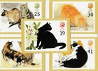 Bild 72 von 82
