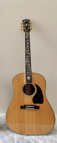 Gibson Custom J-45  vine