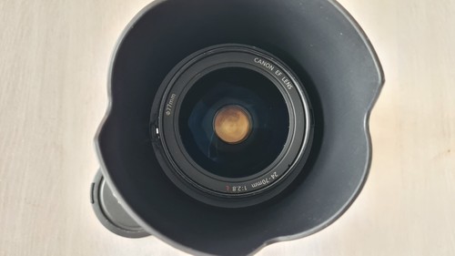 Canon EF 24-70mm f/2.8L USM with sun hood - Photo 9/16